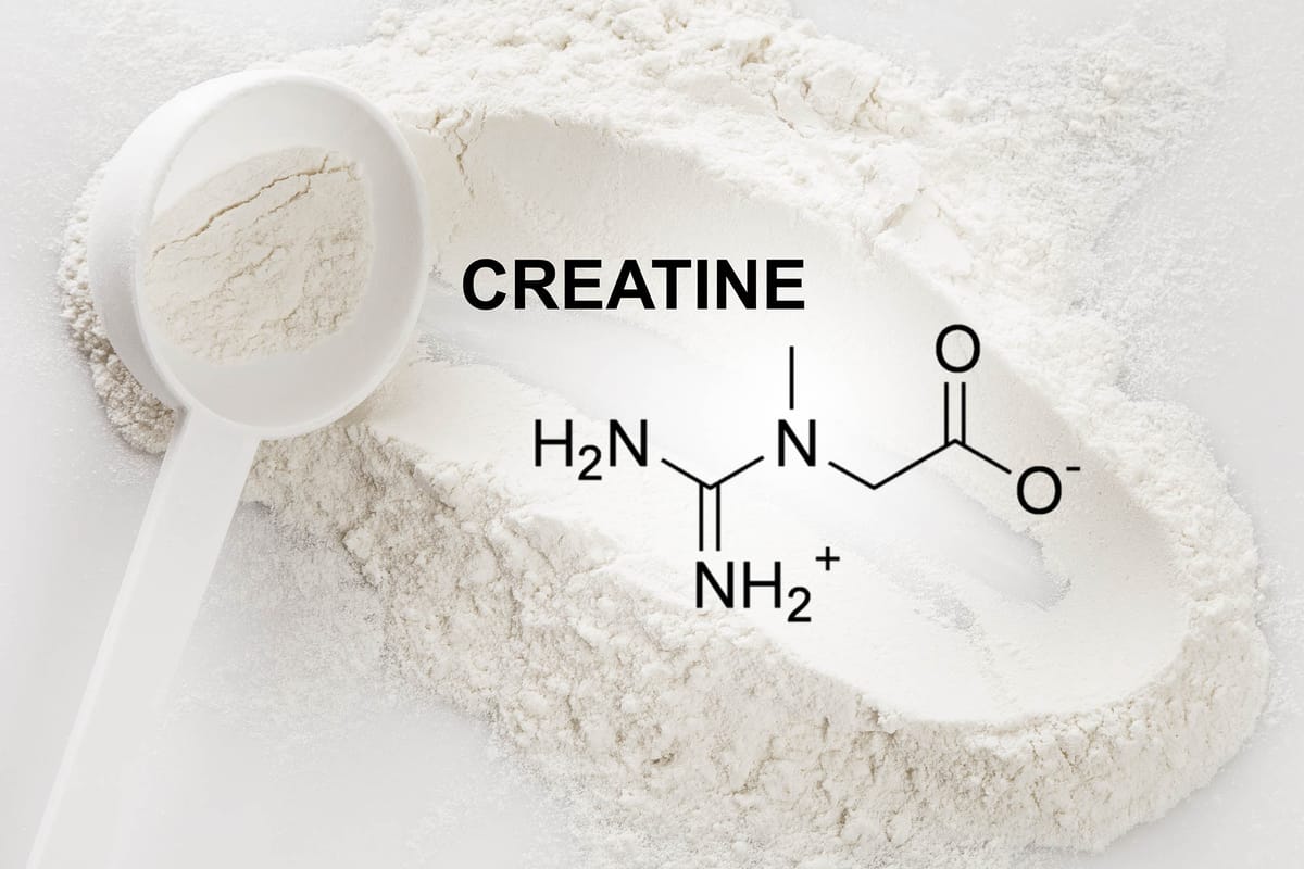 Kreatin: Ein Turbo fürs Gehirn bei Müdigkeit?