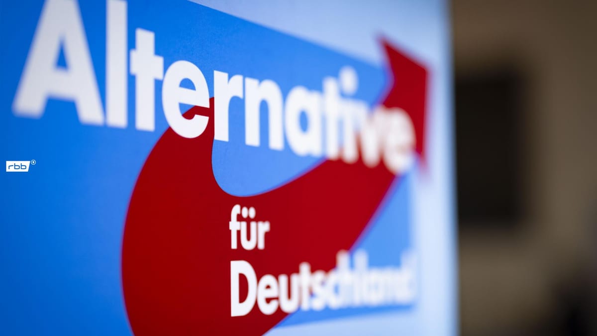 Innerparteiliche Strategie: AfD setzt auf kontrollierte "Wahlen"