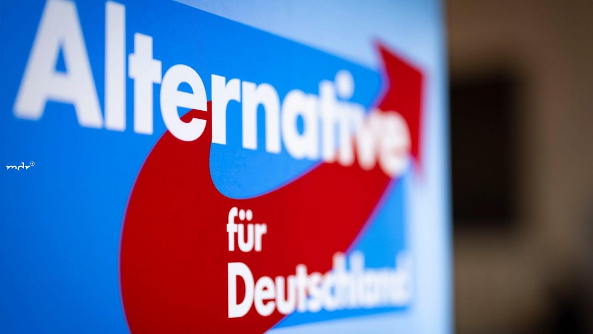 Das Ende der AfD?