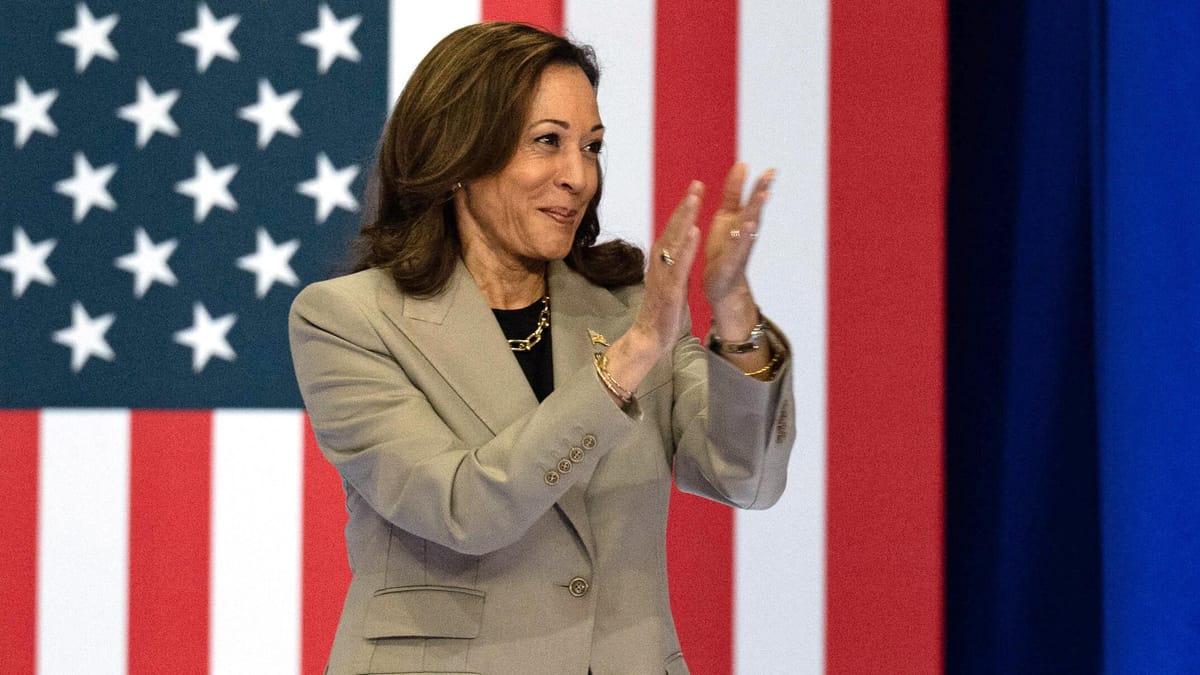 Kamala Harris' Wirtschaftsplan: Vielversprechende Visionen oder kostspielige Fehltritte?