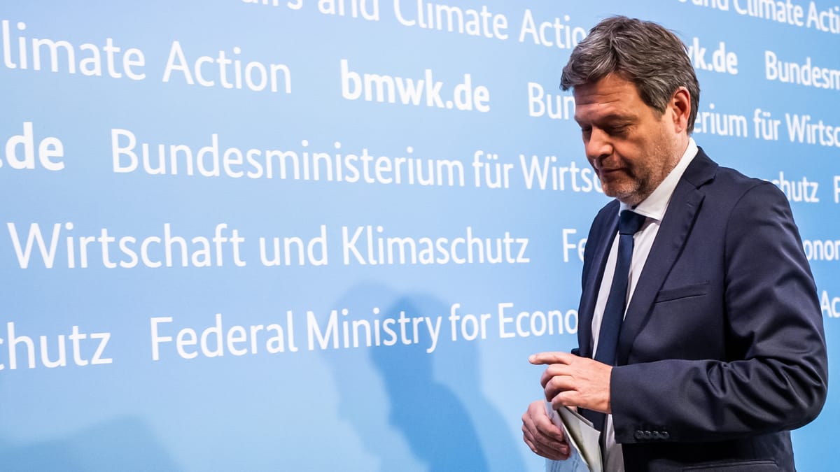 Klimaschutz als Subventionsfall: Milliarden für grüne Projekte – doch zu welchem Preis?