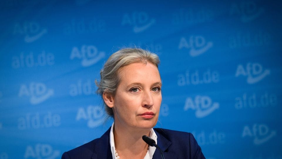 AfD und die Kanzlerkandidatur: Kann Weidel Kanzlerin?