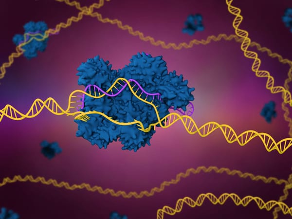 CRISPR: Wunderwaffe oder ökologisches Risiko?