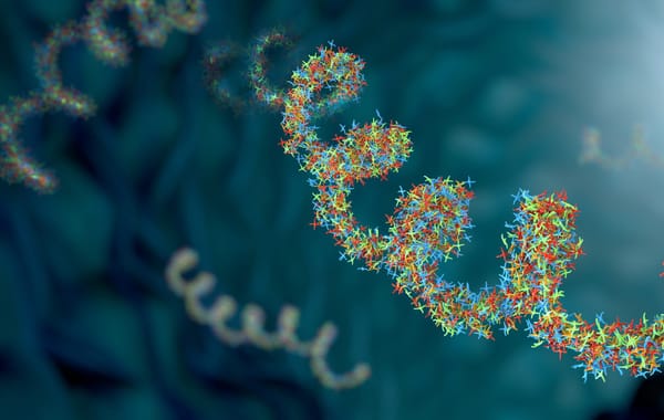 Revolutionäre DNA-Entdeckung bei Haya Therapeutics
