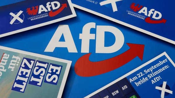 Verbotsverfahren gegen die AfD?