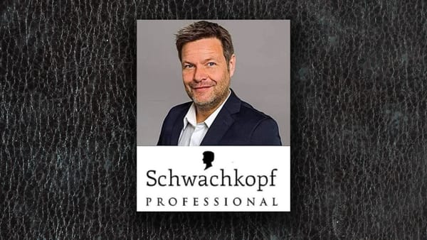 „Schwachkopf“-Vorwurf an Habeck: Wo endet Kritik, wo beginnt Justiz?