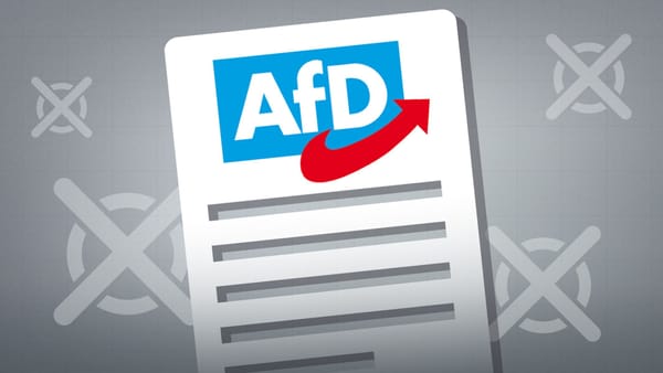 AfD-Wahlprogramm 2024: Zwischen Tradition und Provokation