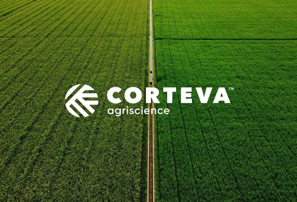 Soja-Krieg in Brasilien: Corteva greift Bayer im Milliardenmarkt an