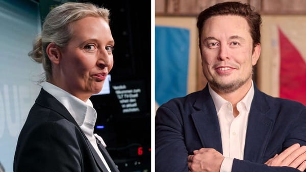 Warum das Gespräch zwischen Musk und Weidel die Demokratie stärkt